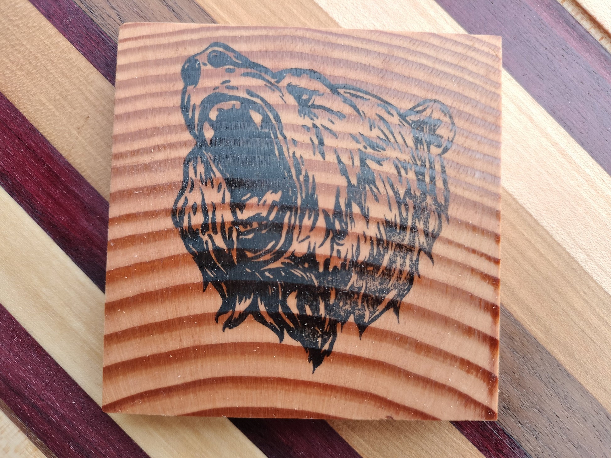 Casual Coasters Handcrafted Handmade Bear